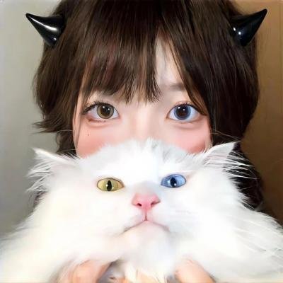 第25号座位